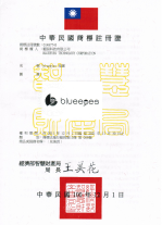 BlueEyes Technology Licenses, Trademarks, Patents